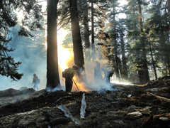 Fire crews use hand tools to extinguish a fire among trees. BLM photo.