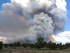 A large cloud of smoke rises over land dotted with trees. BLM photo. 