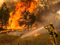 A firefighter uses a hose to spray water on a large wildfire (BLM Photo)