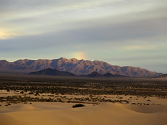 Cadiz Dunes Wilderness photo by Kyle Sullivan, BLM.