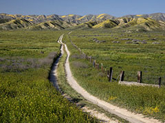 A dirt road meanders through a valley surrounded by mountains. Photo by Bob Wick, BLM.