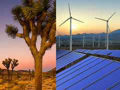A photo collage with a desert tortoise, joshua trees, wind turbines, and solar panels. (BLM Photo)