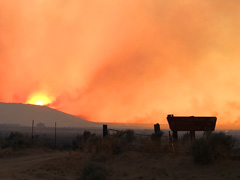 The sun glows orange through smoke-filled skies