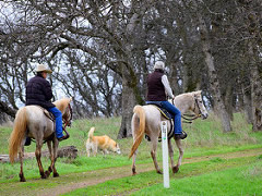  Horseback riders on a trail in the Sacramento River Bend Outstanding Natural Area.  Photo by Eric Coulter, BLM.