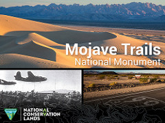 Collage of photos of sand dunes, mountains, historic image of planes flying over troops, Route 66 painted on the road near Amboy Crater. (BLM Photo)