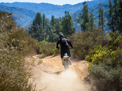 A motorcycle rider kicks up a small dirt cloud on a trail surrounded by trees and shrubs. (Thomas Delgado/BLM)