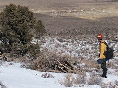 A firefighter stands in the snow near a pile of brush and limbs.  Photo by Troy Maguire/BLM.