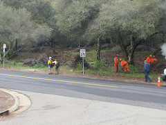 A group of people work in an a forested area to gather and burn small piles of brush.  Photo by BLM.