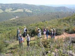 A group of people tour public lands covered with tall bushes and shurbs.