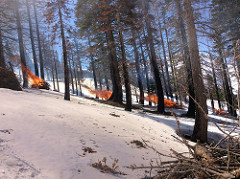 Piles of wood burn in a prescribed burn on a snow covered mountain.  Photo by Troy Maquire, BLM.