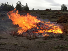 A very hot fire burns a pile of tree trimmings. Photo by BLM.