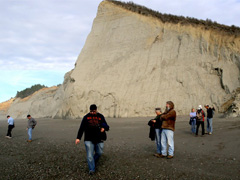 People walk on a beach below large cliffs (Jeff Fontana/BLM)