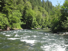 Trinity Wild and Scenic River.  Photo by BLM.