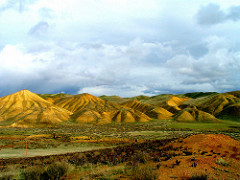 Annual grasslands cover the Tumey Hills.  Photo by Michael Westphal, BLM.