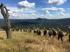 The Folsom Lake Veterans' Fire Crew (Photo by Folsom Lake Veterans' Fire Crew)