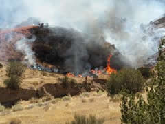 A wildfire burns in a dry hillside.  Photo by BLM.