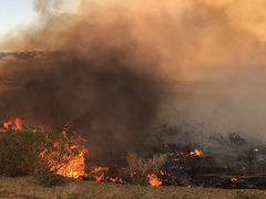 Flames and smoke from a wildfire.  Photo by Pat Farris, BLM.