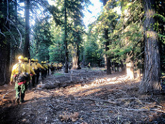 A line of firefighters head out to the woods.  Photo by BLM.