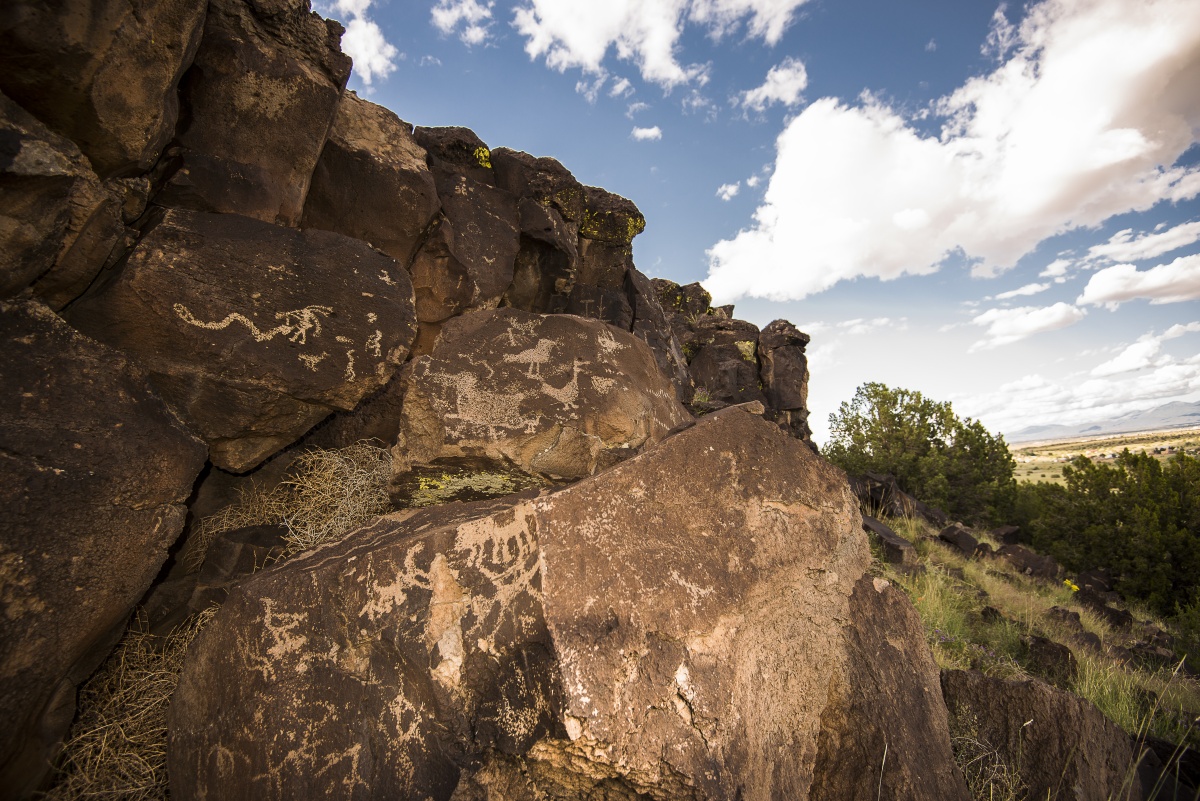 Rock art in BLM New Mexico. BLM photo