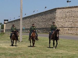 Border Patrol Agents and their adopted mustangs.