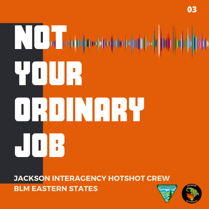 not_your_ordinary_job_podcast