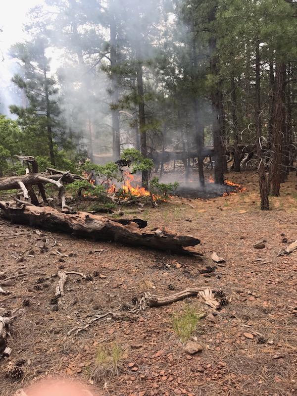 Trumbull Fire burning in the Mt Trumbull Wilderness