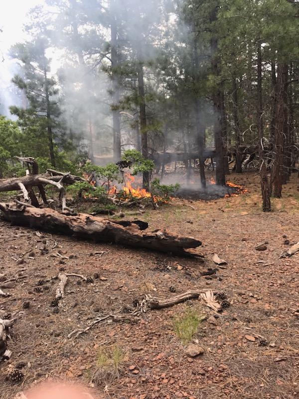 Trumbull Fire burning in the Mt Trumbull Wilderness