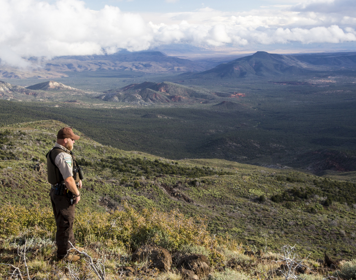 Ranger looking over the landscape