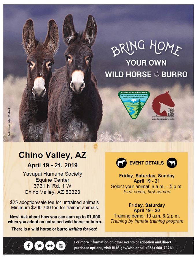 Burros on a poster advertising Chino Valley Adoption and Sale event