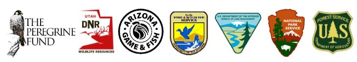 emblems of the Peregrine Fund, Utah Department of Natural Resources, Arizona Game and Fish Department, US Fish and Wildlife Service, Bureau of Land Management, National Park Service, US Forest Service