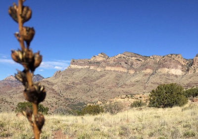 Galiuro Mountains