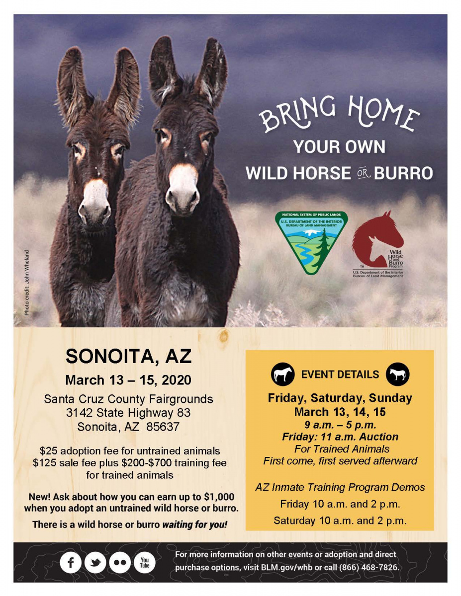 AZ Wild Horse and Burro Event Flyer - Sonoita AZ March 13-15, 2020 