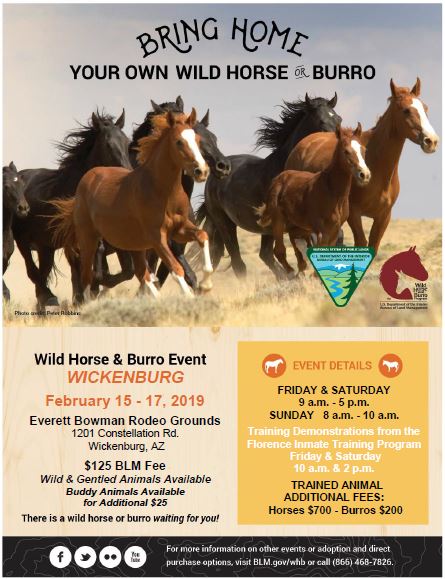 Flyer - Wild horse and burro event Wickenburg, AZ Feb 15-17, 2019