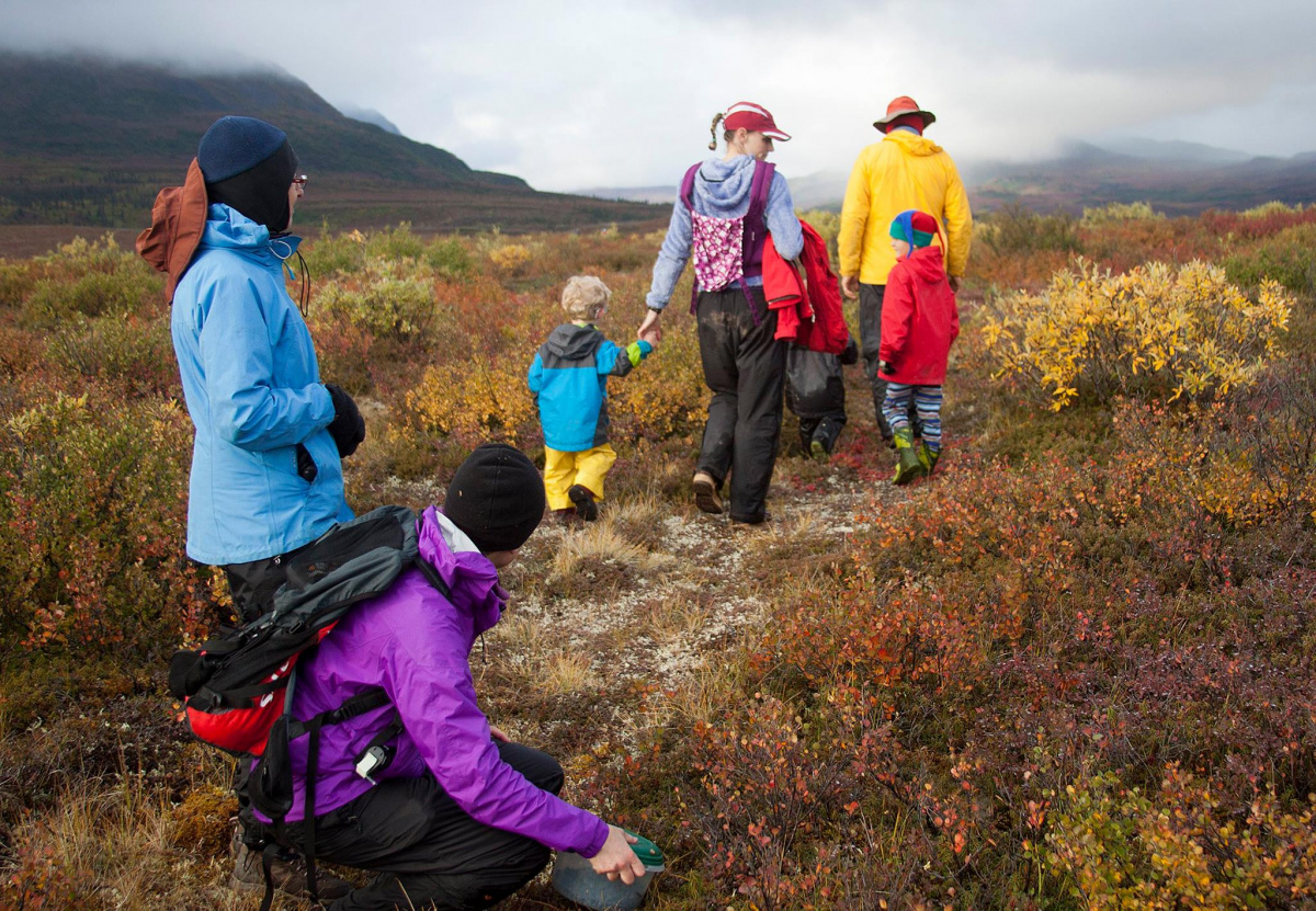 A family picking berries in a field