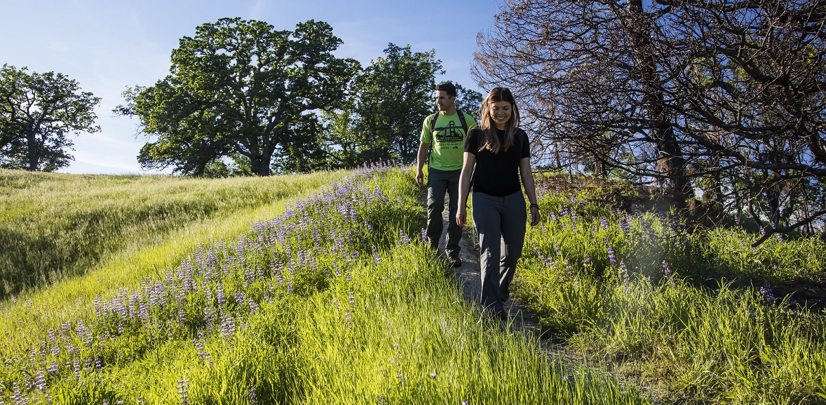 Two hikers walk through green trail of wild flowers. Photo by Bob Wick/BLM. 