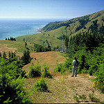 photo of coastal mountain range