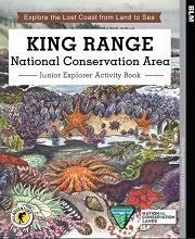 Cover image of King Range Junior Ranger Activity Book.