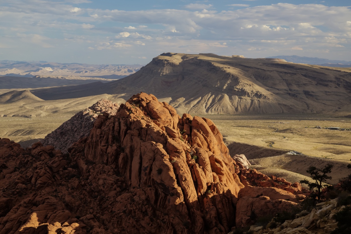 View from the top of the Calico Hills.