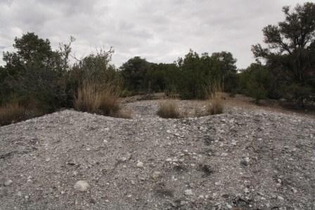 Agave Roasting Pits photo by Chelise Simmons