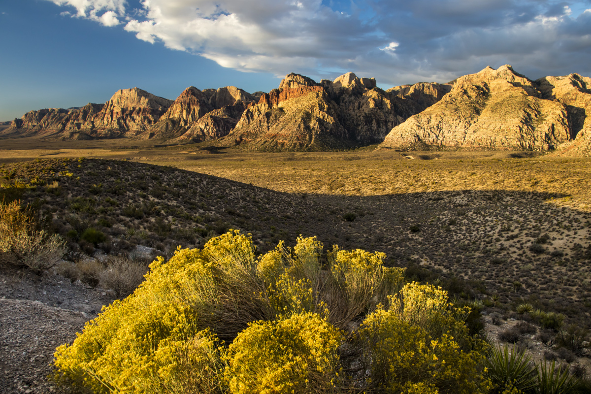 Wide shot of Red Rock Canyon landscape