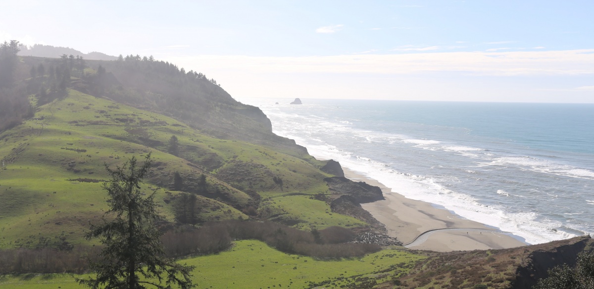 Lost Coast Headlands grassy hills over look the ocean (Photo by BLM)