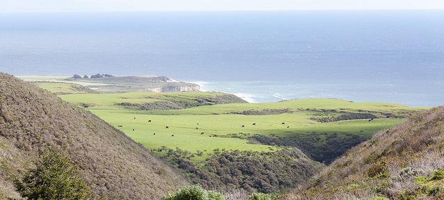 The green hills and coast line of Cotoni-Coast Dairies (Photo by Jim Pickering, BLM)
