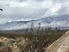 A high desert valley with snowy mountains in the background. Photo  by Caroline Woods, BLM.