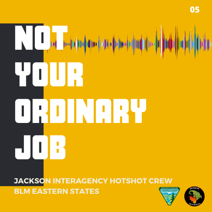 not_your_ordinary_job_podcast