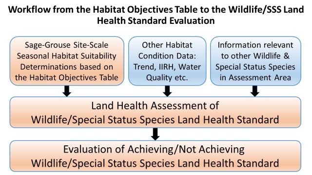 Workflow from the Habitat Objectives Table to the Wildlife/SSS Land Health Standard Evaluation.  Sage grouse site scale seasonal habitat suitability, other habitat conditions data, and information relevant to other species in the assessment area informs the land health assessment of wildlife/special status species land health standard which feeds into the evaluation of achieving/not achieving wildlife/special status species land health standard 