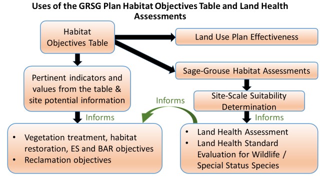 Visual of steps explained in Uses of the GRSG Plan Habitat Objectives and Land Health Assessments below