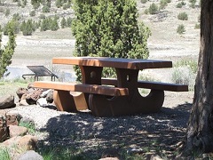 A shaded picnic table next to a fire pit. (Stan Bales/BLM)