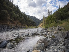 Image of a wide river in a forest. Photo by John Ciccarelli, BLM.