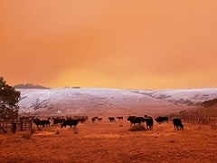 Red sky and scorched hills near Davenport, CA. Photo by Photo by Mike Chiodini, BLM