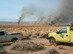 Several piles of brush burn in a field. Photo by Heather Stone/BLM.